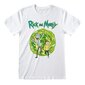 Rick and Morty Portal XL kaina ir informacija | Žaidėjų atributika | pigu.lt