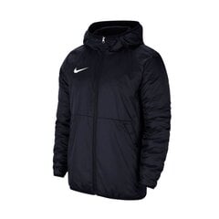 Куртка мужская Nike Team Park 20 Fall CW6157-451 цена и информация | Мужские куртки | pigu.lt