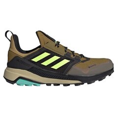 Походные ботинки мужские Adidas Terrex Trailmaker GTX M FX4613, коричневые цена и информация | Мужские кроссовки | pigu.lt