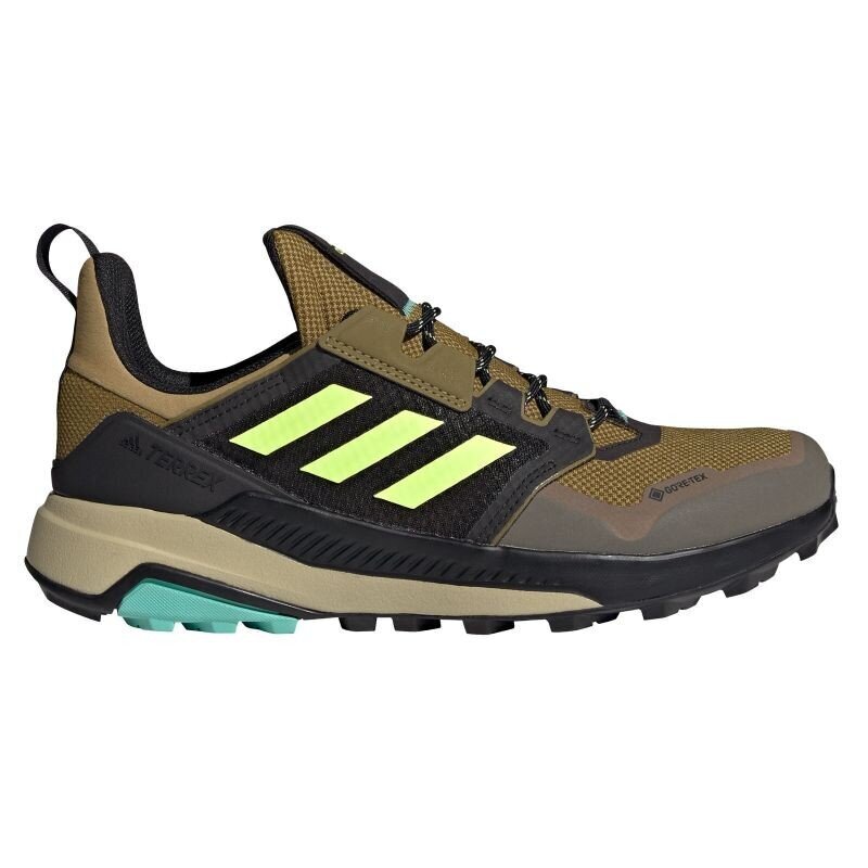 Turistiniai batai vyrams Adidas Terrex Trailmaker GTX M FX4613, rudi цена и информация | Vyriški batai | pigu.lt
