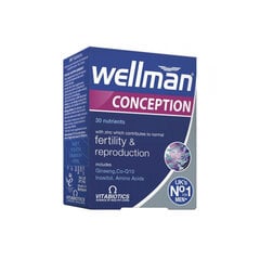 Таблетки WELLMAN CONCEPTION, 30 шт. цена и информация | Витамины, пищевые добавки, препараты для хорошего самочувствия | pigu.lt