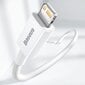 Kabelis Baseus USB Type C - Lightning Power Delivery 20 W 0,25 m CATLYS-02 kaina ir informacija | Laidai telefonams | pigu.lt