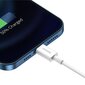 Kabelis Baseus USB - Lightning CALYS-A02 kaina ir informacija | Laidai telefonams | pigu.lt