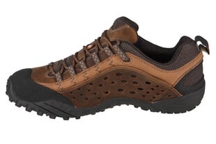 Žygio batai vyrams Merrell Intercept J73705, rudi цена и информация | Мужские ботинки | pigu.lt
