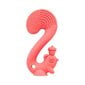 Kramtukas Mombella Squirrel, raudona, 3 mėn+, P8059 kaina ir informacija | Kramtukai | pigu.lt
