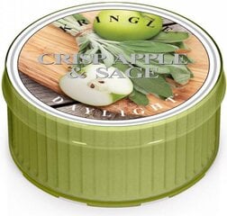 Ароматическая свеча Kringle Candle, 35 г цена и информация | Подсвечники, свечи | pigu.lt