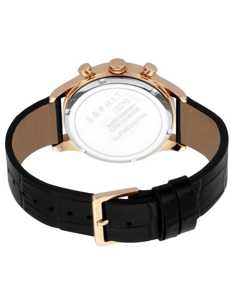 Vyriškas laikrodis Esprit ES1G210L0045 kaina ir informacija | Vyriški laikrodžiai | pigu.lt