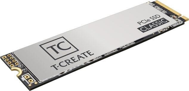 Team Group T-Create Classic (TM8FPE002T0C611) цена и информация | Vidiniai kietieji diskai (HDD, SSD, Hybrid) | pigu.lt
