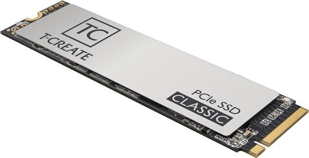 Team Group T-Create Classic (TM8FPE002T0C611) цена и информация | Vidiniai kietieji diskai (HDD, SSD, Hybrid) | pigu.lt