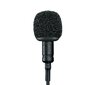 Shure MVL-3.5MM mikrofonas kaina ir informacija | Mikrofonai | pigu.lt