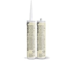 Silikoninis antipelėsinis hermetikas Silicone Color 23, 310 ml цена и информация | Уплотнительные материалы | pigu.lt