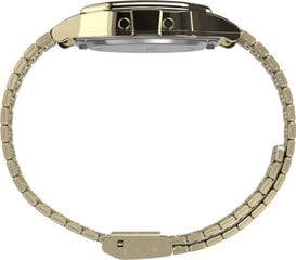 Мужские часы GANT Park Avenue Chrono-IPB G123009  цена и информация | Мужские часы | pigu.lt