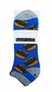 Trumpos kojinės vyrams Apollo, 3 poros kaina ir informacija | Vyriškos kojinės | pigu.lt
