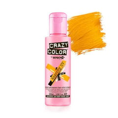 Краска полуперманентная Anarchy Crazy Color Nº 76 цена и информация | Краска для волос | pigu.lt