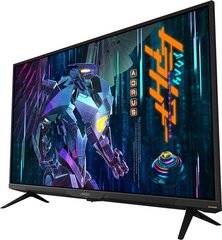 Gigabyte AORUS FV43U, 43" цена и информация | Мониторы | pigu.lt