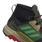 Aulinai batai berniukams Adidas Terrex Trailmaker, juodi цена и информация | Aulinukai vaikams | pigu.lt