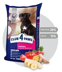 Club 4 Paws Премиум полноценный сухой корм для собак Щенки большие с курицей, 14.0 кг цена и информация |  Сухой корм для собак | pigu.lt