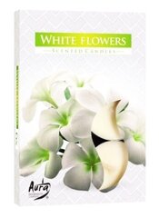 Aura arbatinės žvakės Baltos gėlės, 6 vnt цена и информация | Подсвечники, свечи | pigu.lt