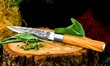 Japoniško plieno peilis Style De Vie Olive Forged, 12.5 cm цена и информация | Peiliai ir jų priedai | pigu.lt