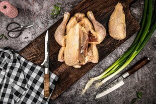 Japoniško plieno peilis Style De Vie VG10 Forged Boning, 16 cm kaina ir informacija | Peiliai ir jų priedai | pigu.lt