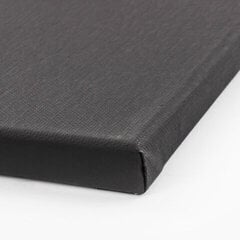 Drobė gruntuota ant porėmio Black, 280g/m2, 30x40 cm kaina ir informacija | Piešimo, tapybos, lipdymo reikmenys | pigu.lt