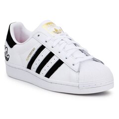 Laisvalaikio batai moterims Adidas Superstar W FY4755, balti kaina ir informacija | Sportiniai bateliai, kedai moterims | pigu.lt