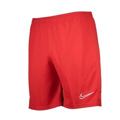 Шорты для мужчин Nike Dry Academy 21 M CW6107-657, красные цена и информация | Мужские термобрюки, темно-синие, SMA61007 | pigu.lt