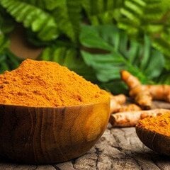 Очищающий шампунь Ayumi Hibiscus Turmeric, 250 мл цена и информация | Шампуни | pigu.lt