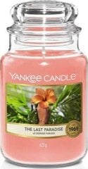 Ароматическая свеча Yankee Candle the Last Paradise 623 г цена и информация | Подсвечники, свечи | pigu.lt