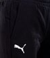 Kelnės vyrams Puma Neymar Jr Creativity, juodos kaina ir informacija | Sportinė apranga vyrams | pigu.lt