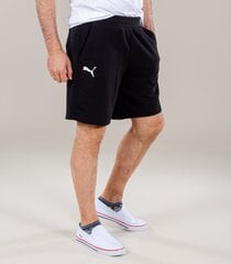 Шорты PUMA NEYMAR JR CREATIVITY цена и информация | Мужская спортивная одежда | pigu.lt