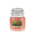 Kvapioji žvakė Yankee Candle the Last Paradise 411g