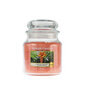 Kvapioji žvakė Yankee Candle the Last Paradise 411g kaina ir informacija | Žvakės, Žvakidės | pigu.lt