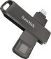 SanDisk SDIX70N-256G-GN6NE kaina ir informacija | USB laikmenos | pigu.lt