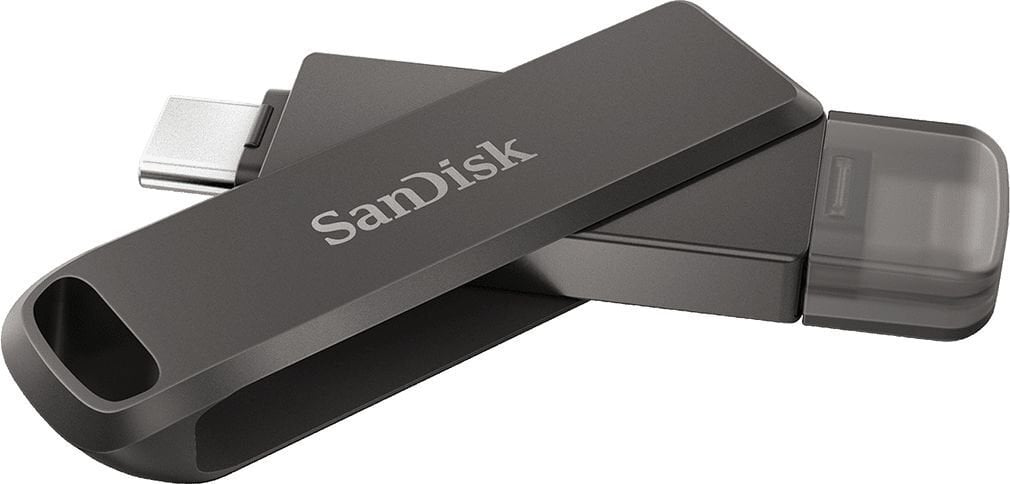 SanDisk SDIX70N-256G-GN6NE kaina ir informacija | USB laikmenos | pigu.lt