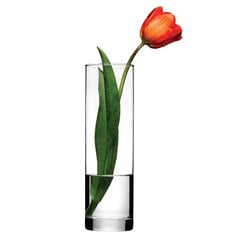 Pasabahce ваза Flora, 26 см цена и информация | Flora Мебель и домашний интерьер | pigu.lt