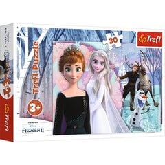 Dėlionė Trefl Frozen, 30 d. kaina ir informacija | Dėlionės (puzzle) | pigu.lt