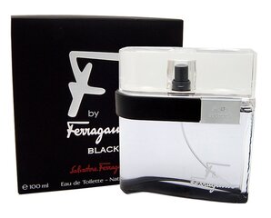 Туалетная вода Salvatore Ferragamo F by Ferragamo Black Pour Homme edt, 100 мл цена и информация | Мужские духи | pigu.lt