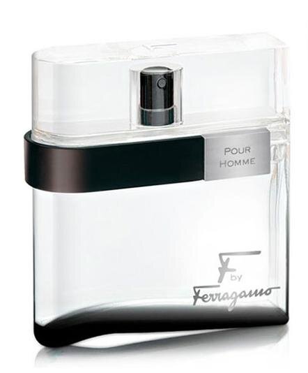 Tualetinis vanduo Salvatore Ferragamo F by Ferragamo Black Pour Homme EDT vyrams 100 ml цена и информация | Kvepalai vyrams | pigu.lt