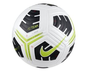Nike Academy Pro futbolo kamuolys, 5 kaina ir informacija | Futbolo kamuoliai | pigu.lt