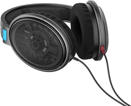 Sennheiser HD 600 kaina ir informacija | Ausinės | pigu.lt