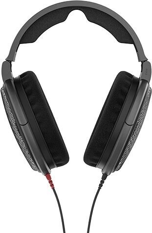 Sennheiser HD 600 kaina ir informacija | Ausinės | pigu.lt