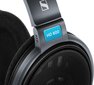 Sennheiser HD 600 kaina ir informacija | Ausinės | pigu.lt