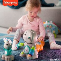 Lietuviškai kalbantis muzikinis-interaktyvus Tinginukas Fisher-Price kaina ir informacija | Fisher Price Vaikams ir kūdikiams | pigu.lt