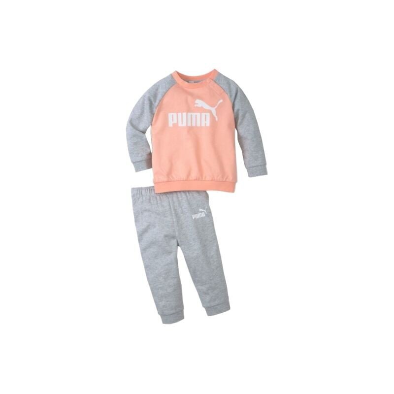 Komplektas vaikams Puma Minicats Essentials Raglan Jogger Junior Tracksuit 584861 26 kaina ir informacija | Kelnės berniukams | pigu.lt