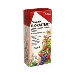Maisto papildas Floradix Floravital skystis, 250 ml kaina ir informacija | Vitaminai, maisto papildai, preparatai gerai savijautai | pigu.lt