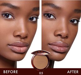 Пудра для контурирования лица Guerlain Terracotta Bronzing Powder, 10 г цена и информация | Бронзеры (бронзаторы), румяна | pigu.lt