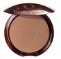 Veido kontūravimo pudra Guerlain Terracotta Bronzing Powder, 10 g kaina ir informacija | Bronzantai, skaistalai | pigu.lt