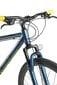 Kalnų dviratis Roy Roxter Blue 29" kaina ir informacija | Dviračiai | pigu.lt