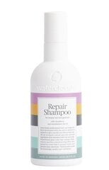 Šampūnas pažeistiems plaukams su makadamijos sėklų aliejumi Waterclouds Repair shampoo, 250 ml цена и информация | Шампуни | pigu.lt